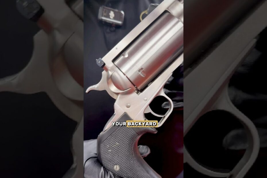 .45-70. In a Revolver.
