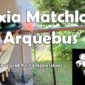 Brixia Matchlock Arquebus