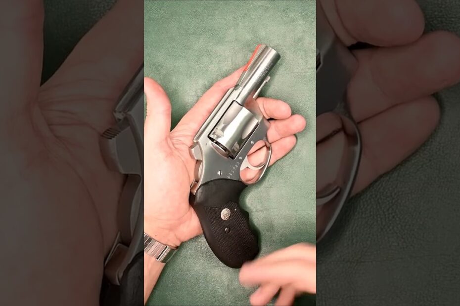 Charter Arms Bulldog Stainless Steel