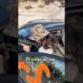 The 40 second timer to catch the extraction truck